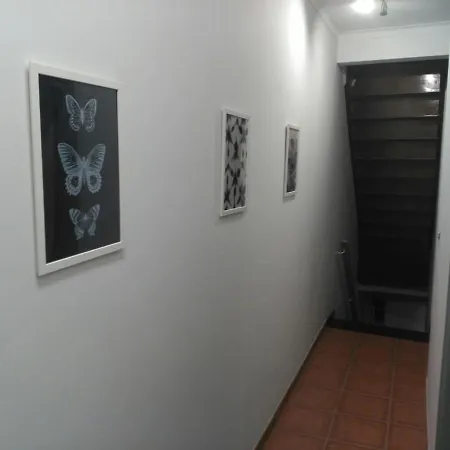 Casa Viela