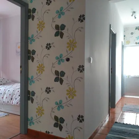 Casa Viela *